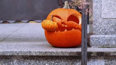 Cadılar Bayramı süslenmiş açık hava kafe ya da restoran terası Amerika ya da Avrupa 'da oyulmuş balkabaklarıyla geleneksel Cadılar Bayramı özellikleriyle. Parti için ön bahçe dekorasyonu. 