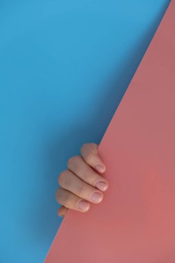 Mavi pembe arka planda şık, çıplak, bej kadın tırnakları. Modern moda stil güzel manikür. Güzel pastel tırnak minimalistik güzellik tasarımı konsepti. Jel tırnaklar. Cilt bakımı. Güzellik uzmanı