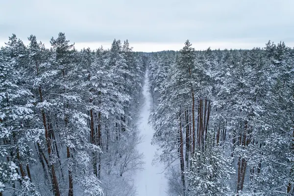 stock image Pine and fir trees forest covered in snow. Aerial landscape from drone view. Christmas is coming. Cold frosty winter season nature background. View from above of snowy country road 