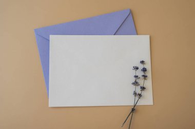 Beyaz kağıttan tebrik kartının düz kompozisyonu kuru lavanta çiçekleriyle dolu zarfın üzerindeydi. Uzay şablonunu kopyala. Üst Manzara. Düğün davetiyesi kartpostalı konsepti. Ticari reklam markası