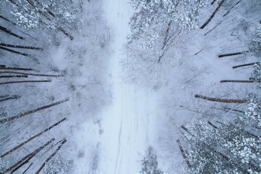 Hava manzaralı güzel karlı kış ormanı. Kış mevsiminde yol. Soğuk sabah seyahati konsepti. İnanılmaz kış sahnesi. Noel teması. Karla kaplı ladin.