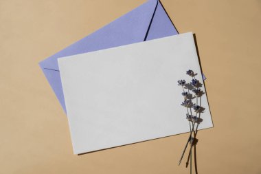 Boş beyaz zarf kâğıt kart şablonu. Metnin için alanı kopyala. Lavanta çiçeği. Selamlama ya da davetiye kartı içinde zarf yok. Üst manzara, düz uzanma