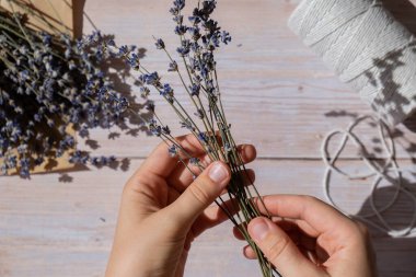Üst görünüm düz işlem, kurutulmuş lavanta çiçekleri buketleri yapıyor. Pamuk ip, makas. Kadın ev yapımı şifalı ot buketi yapıyor. Kış için hazırlanıyor 