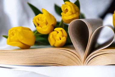 Kitap sayfaları, beyaz yatakta sarı taze lalelerle kalbe katlanmış. Bahar çiçekleri hediye fikri. Aşk edebiyatı ve eğitim kavramı Romantik tarih kartpostal tasarımı Boşluğu kopyala 