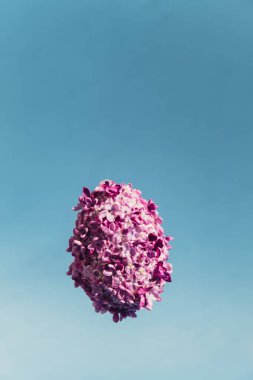 Yaratıcı Uçan Paskalya Yumurtası. Leylak bahar çiçeklerinden yapılmış. Minimum tatil konsepti hala hayat. Boşluk tebrik kartı kopyala 