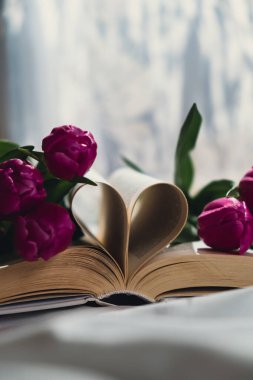 Kitap sayfaları, beyaz yatakta pembe, taze laleler ve son moda derin gölgeler ile kalbe katlanmış. Bahar çiçekleri hediyesi. Aşk edebiyatı ve eğitim kavramı Romantik randevu kartpostal tasarımı