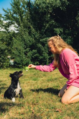 Bir kadın evcil hayvanıyla yeşil çimlerde badminton pipisi oynayarak iyi vakit geçiriyor. Tatil ve yaz tatili dışında. Sağlıklı yaşam tarzı doğal bağlantı sporu yaz aktiviteleri. Stres