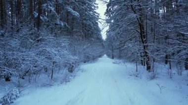 Hava manzaralı güzel karlı kış ormanı. Kış mevsiminde yol. Soğuk sabah seyahati konsepti. İnanılmaz kış sahnesi. Noel teması. Karla kaplı ladin.