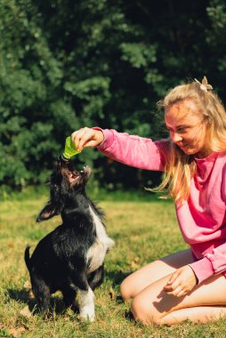 Bir kadın evcil hayvanıyla yeşil çimlerde badminton pipisi oynayarak iyi vakit geçiriyor. Tatil ve yaz tatili dışında. Sağlıklı yaşam tarzı doğal bağlantı sporu yaz aktiviteleri. Stres