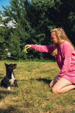 Genç bir kadın köpeğiyle ve horoz konseptiyle oynuyor. Yazın açık hava aktiviteleri. Kalıp dinlenme zamanı. Petrentlik evcil hayvan aşkı yaz dışında