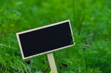 Karatahta boş fotokopi alanı. Tarla reklamları için. Çevre dostu sürdürülebilir dereotunun arka planında. Metin şablonu için yer çiftlik çekirdeğini modelle sağlıklı tarımsal gıda üretimi 