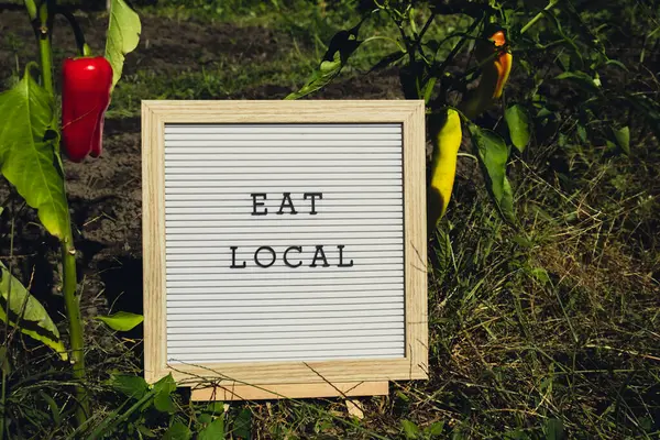 Çevre dostu taze biber yetiştirilmiş biberin arka planındaki locaL mesajını ye. Kırsal gıda üretim konsepti. Yerel olarak hasat üretiliyor. Sürdürülebilirlik ve sorumluluk 