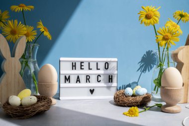 Mavi arka plan ve çevre dostu sıfır atık doğal dekorasyonla ilgili Hello Yürüyüşü mesajıyla aydınlık kutu. Sarı papatya çiçekleri. Tavşan yumurtası. Tatil tebrik kartı.