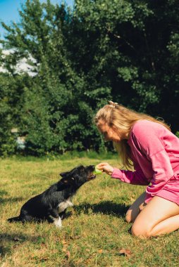 Genç bir kadın köpeğiyle ve horoz konseptiyle oynuyor. Yazın açık hava aktiviteleri. Kalıp dinlenme zamanı. Petrentlik evcil hayvan aşkı yaz dışında