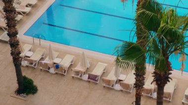 Oteldeki yeşil palmiyelerin arasında boş plaj şezlonglu güneşli havuz manzarası. Tropik yeşil tatil seyahati turist sükuneti güneşli bir günde