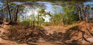Sonbahar sezonu boyunca eşkenar dörtgen projeksiyonla tam 360 derecelik küresel HDRi manzaralı yeşil orman patikaları. AR VR sanal gerçeklik içeriği sahnesi doğal manzara panoramik