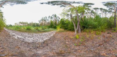 Sonbahar sezonu boyunca eşkenar dörtgen projeksiyonla tam 360 derecelik küresel HDRi manzaralı yeşil orman patikaları. AR VR sanal gerçeklik içeriği sahnesi doğal manzara panoramik