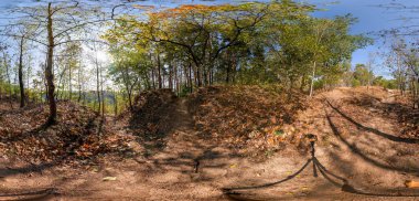 Sonbahar sezonu boyunca eşkenar dörtgen projeksiyonla tam 360 derecelik küresel HDRi manzaralı yeşil orman patikaları. AR VR sanal gerçeklik içeriği sahnesi doğal manzara panoramik