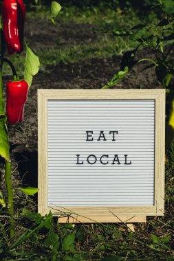 Çevre dostu taze biber yetiştirilmiş biberin arka planındaki locaL mesajını ye. Kırsal gıda üretim konsepti. Yerel olarak hasat üretiliyor. Sürdürülebilirlik ve sorumluluk 