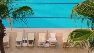 Oteldeki yeşil palmiyelerin arasında boş plaj şezlonglu güneşli havuz manzarası. Tropik yeşil tatil seyahati turist sükuneti güneşli bir günde