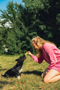 Genç bir kadın köpeğiyle ve horoz konseptiyle oynuyor. Yazın açık hava aktiviteleri. Kalıp dinlenme zamanı. Petrentlik evcil hayvan aşkı yaz dışında