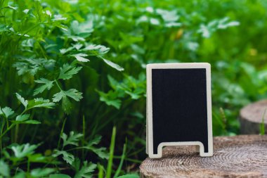 Yeşil tarla bahçesine karşı boş siyah ilan panosu taze yeşil otlu maydanoz. Çiftlik arazisindeki boş model karatahta etiketi. Metnin için uzay afişini kopyala. Tarım arazisi reklamı