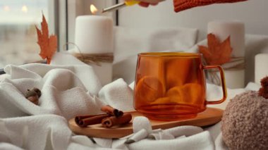 Mevsimlik kremalı kakao kahve ve tarçın Şükran Günü ve Hello Fall Cadılar Bayramı konsepti. Sonbahar tatilini pencerenin kenarındaki sıcak evde sonbahar yapraklarıyla kutluyoruz.