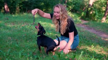 Kadınlar yaz mevsiminde dışarıda akıllı evcil hayvan Deutscher Jagdterrier köpeğiyle oynarlar. Terrier, yaz boyunca çimlerin üzerinde kumanda oyunu oynar. Evcil hayvan bakımı