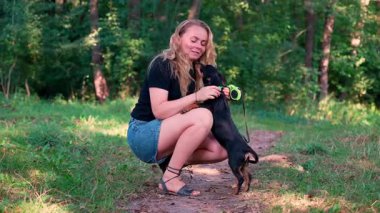 Sahibi olan kadınla oynayan mutlu bir köpek. Aktif evcil hayvan yazın dışarıda eğleniyor. Yeşil çayır yoldaşlığındaki yavru köpek. Hayvan sevgisi