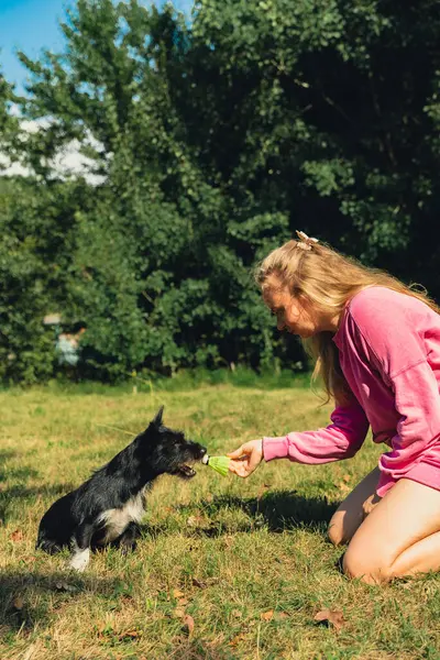 Güzel evcil hayvan sahibi yeşil çimlerde köpek Neon sarı badminton mekik horozuyla oynuyor. Alternatif fitness eğlence sporu. Tüylü arkadaşlar hayvan merkezli aşk