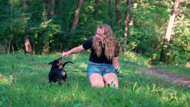 Köpek eğitimli hayvanlar idareci emirlerini yerine getirirler. Avcı teriyeri, sahibine yazın açık havada oyun oynuyor. Oyuncu köpek yavrusu Jagdterrier parkta çiftleşme eğitimi alıyor. Cynolojist eğitim komutanlığı geri döndü.