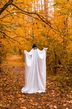 Sonbahar zamanı dışarıda moda cadılar bayramı kutlaması. Çarşaf, kep ve gözlüklerden yapılmış el yapımı hayalet kostümü. Sonbahar ormanı portakal yaprakları. 