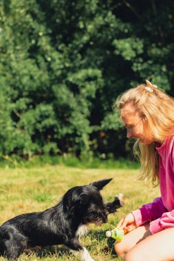 Genç bir kadın köpeğiyle ve horoz konseptiyle oynuyor. Yazın açık hava aktiviteleri. Kalıp dinlenme zamanı. Petrentlik evcil hayvan aşkı yaz dışında