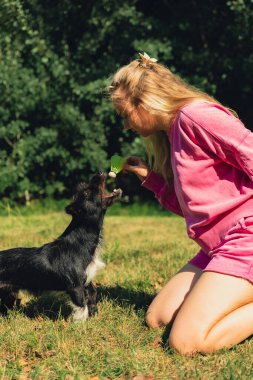 Güzel evcil hayvan sahibi yeşil çimlerde köpek Neon sarı badminton mekik horozuyla oynuyor. Alternatif fitness eğlence sporu. Tüylü arkadaşlar hayvan merkezli aşk