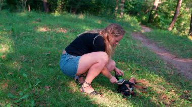 Kadın, neşeli köpeğini yazın dışarıda temizliyor. Alman Jagdterrier köpeği. Terrier yaz boyunca çim çimlerin üzerine yatarak komutayı yerine getirir. Evcil hayvan bakımı