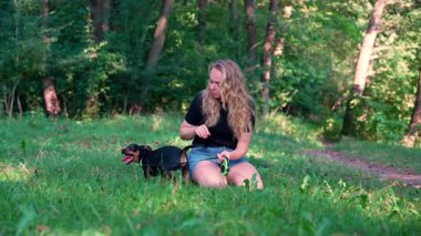 Sahibi olan kadınla oynayan mutlu bir köpek. Aktif evcil hayvan yazın dışarıda eğleniyor. Yeşil çayır yoldaşlığındaki yavru köpek. Hayvan sevgisi