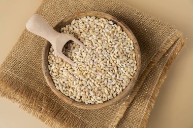 Tarafsız bej arka planda inci arpa. Tam hecelenmiş tahıl türü. Yüksek proteinli lif zengini vejetaryen gıda bileşeni. Glütensiz süper yiyecekler sağlıklı beslenme alternatifleri 