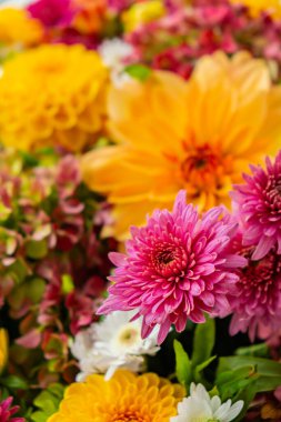 Şükran Günü için sonbahar sonbahar buketi. Mevsimlik ılık renkli çiçek çiçekleri festival dekorasyonunu düzenler. Seçici odak 