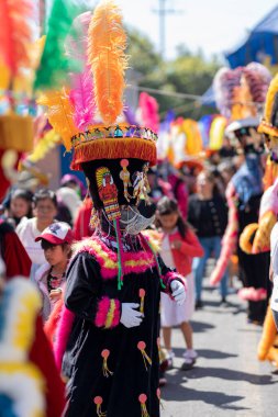 Meksika, Estado de Mexico-01-29-2023: Ecatzingo Edo 'da düzenlenen bir karnavalda Los Chinelos' un geleneksel dansı. Mex..