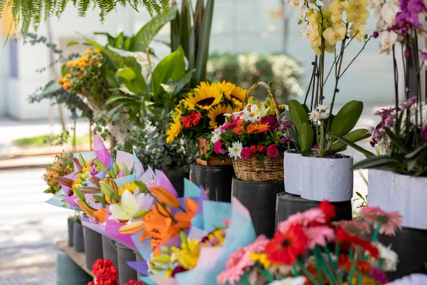 Sale of bouquets of flowers to give away, in a place in Mexico City