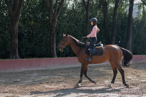 Bonito Jovem Montando Cavalo Centro Equestre Enquanto Pratica Equitação — Fotografia de Stock