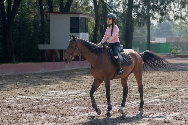 Молодая Женщина Верхом Лошади Конном Центре Шлеме — стоковое фото