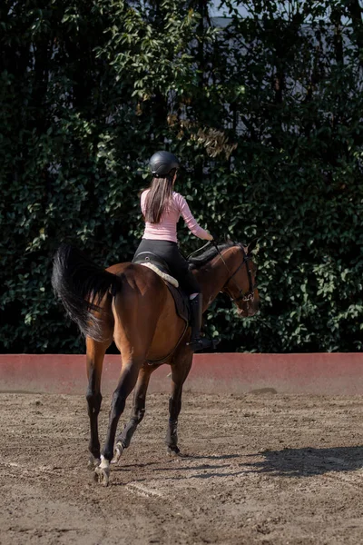 乗馬のレッスンを受けて馬に乗って若い女性の垂直ショット — ストック写真