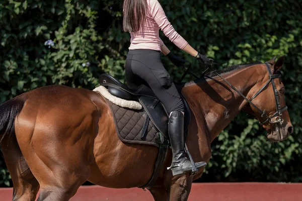 Mulher Irreconhecível Montando Cavalo Centro Equestre — Fotografia de Stock