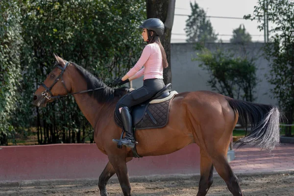 Молода Мексиканка Вчиться Їздити Коричневому Коні — стокове фото