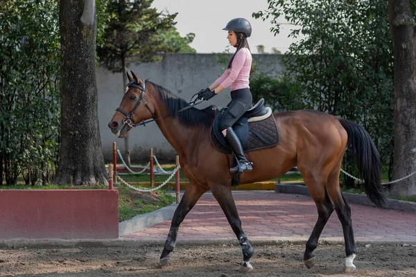 Jovem Mulher Montando Cavalo Centro Equestre — Fotografia de Stock