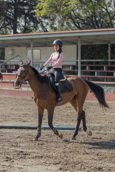 Verticaal Beeld Van Een Jonge Vrouw Die Paardrijdt Tijdens Lessen — Stockfoto
