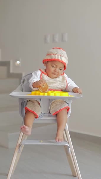 의자에 앉아있는 아기는 실리콘 접시에서 손으로 먹는다 아기는 개념을 — 비디오