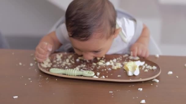Baby Eating Directly Plate Sitting Table Baby Led Weaning Concept — Stock Video