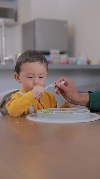 Complementary Feeding Baby Who Beginning Receive His First Foods Baby — Stock Video